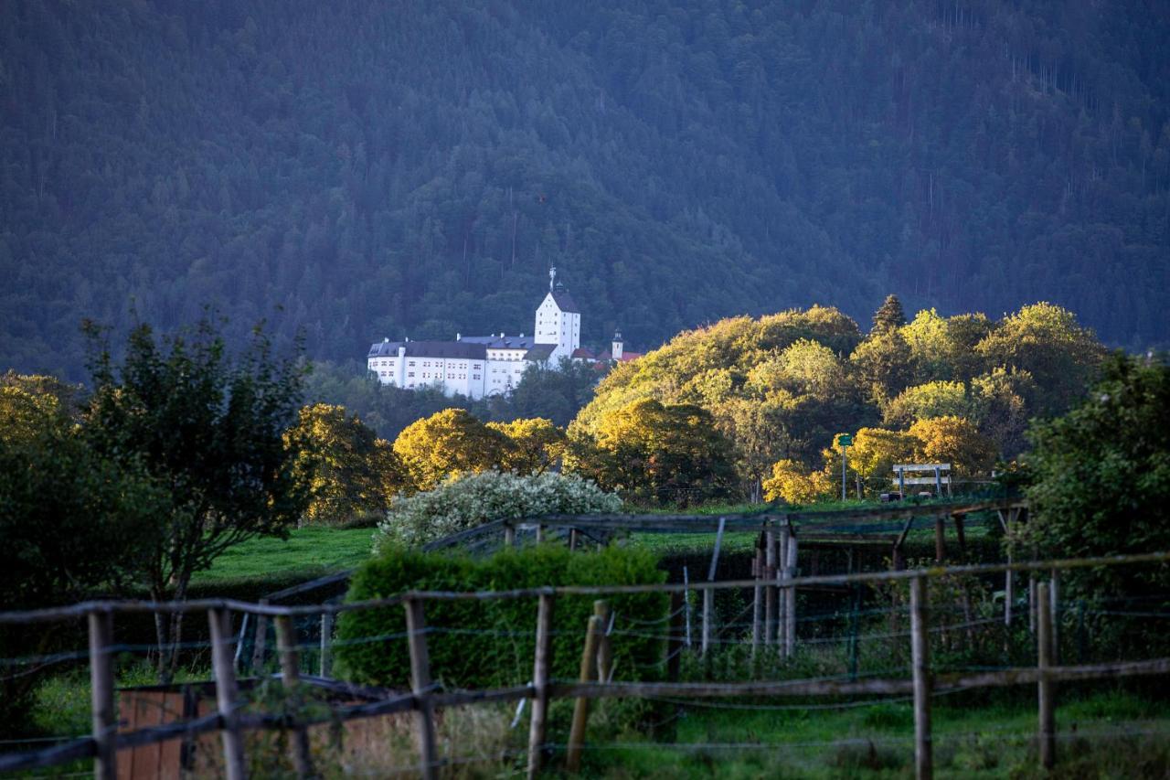 Ferienwohnungen Erlebnisnaturhof Aschau im Chiemgau Ngoại thất bức ảnh